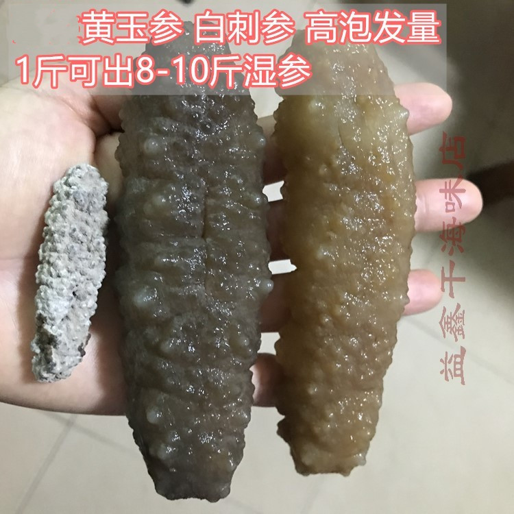 黄玉刺参淡干500克头高泡发肉