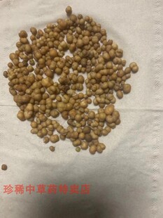 中药材野外络石藤根瘤草药新鲜供应金丹子现挖现采50克
