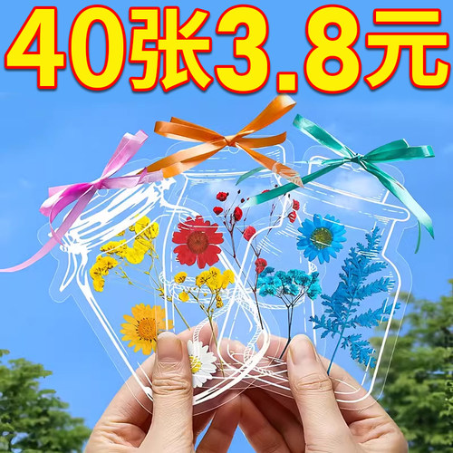 干花书签手工diy材料透明标本