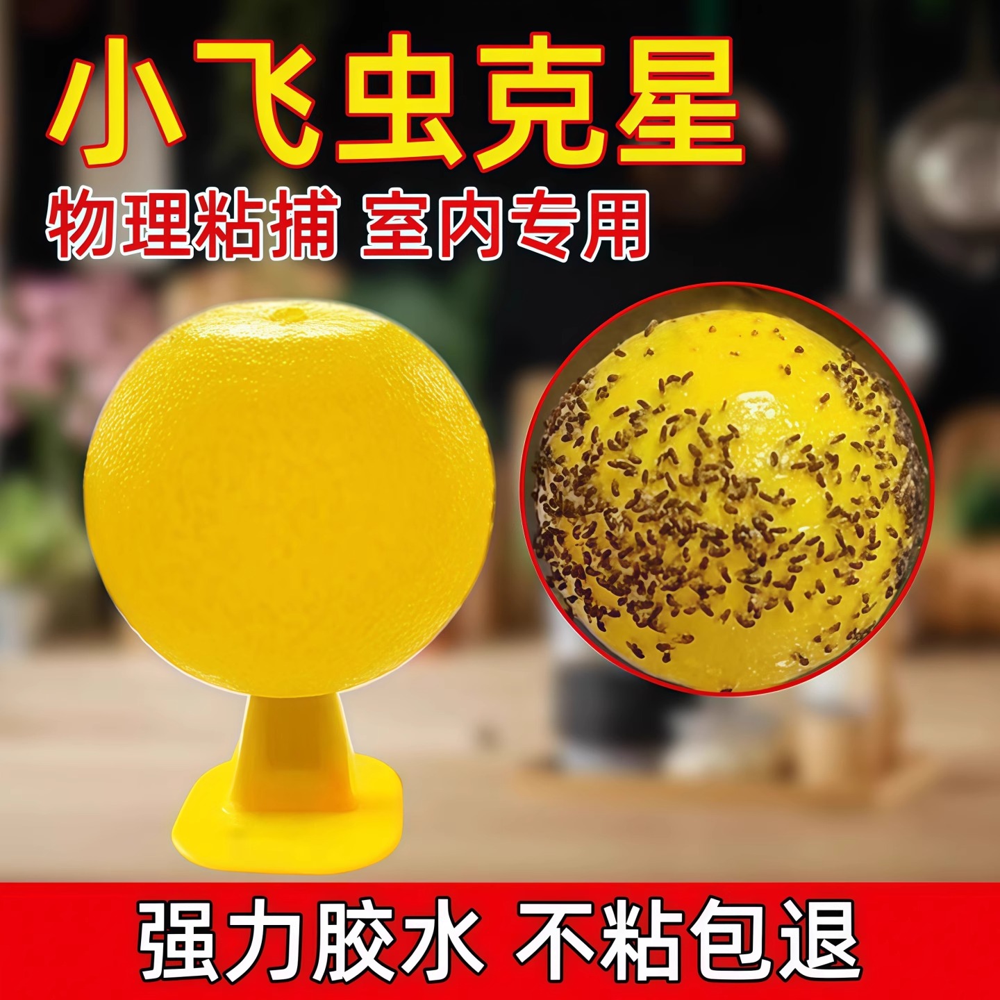 果蝇诱捕器小飞虫灭杀神器