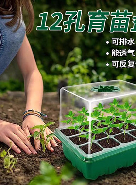 多肉叶插育苗盆三件套播种盒保湿