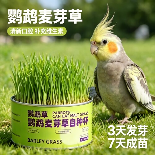鹦鹉大麦种子零食促消化