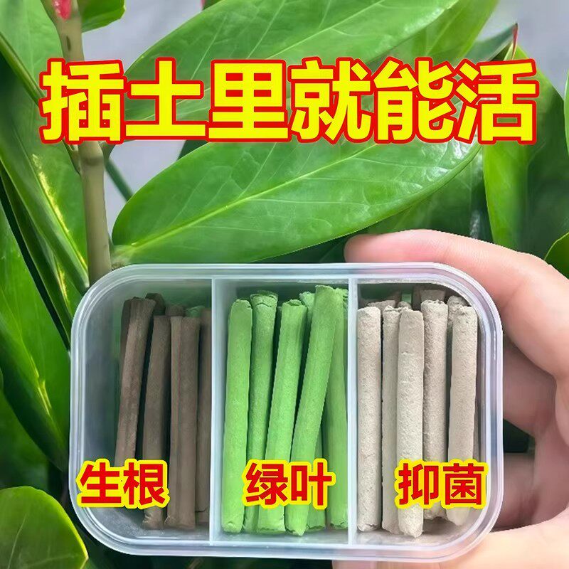 三色缓释营养棒盆栽多肉通用
