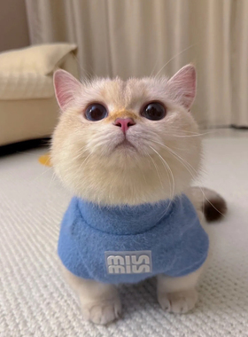 miu系穿搭猫咪衣服布偶猫英短蓝猫金渐层暹罗猫防掉毛小狗狗春秋