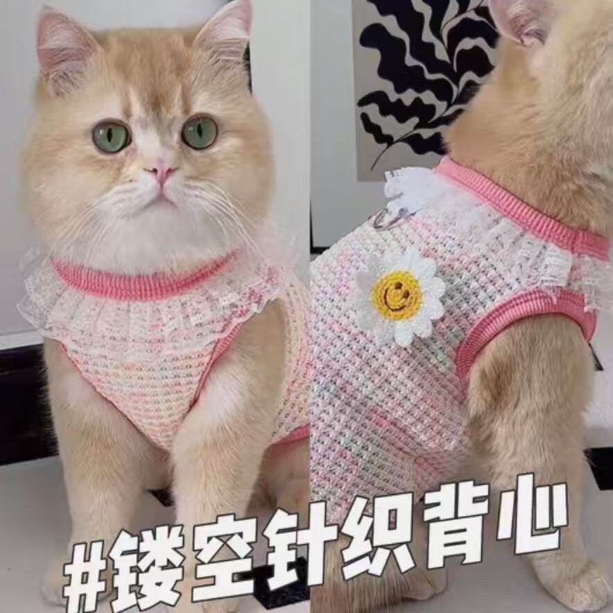 猫咪夏季薄款背心宠物狗狗加菲猫英短蓝猫布偶猫银渐层防掉毛衣服