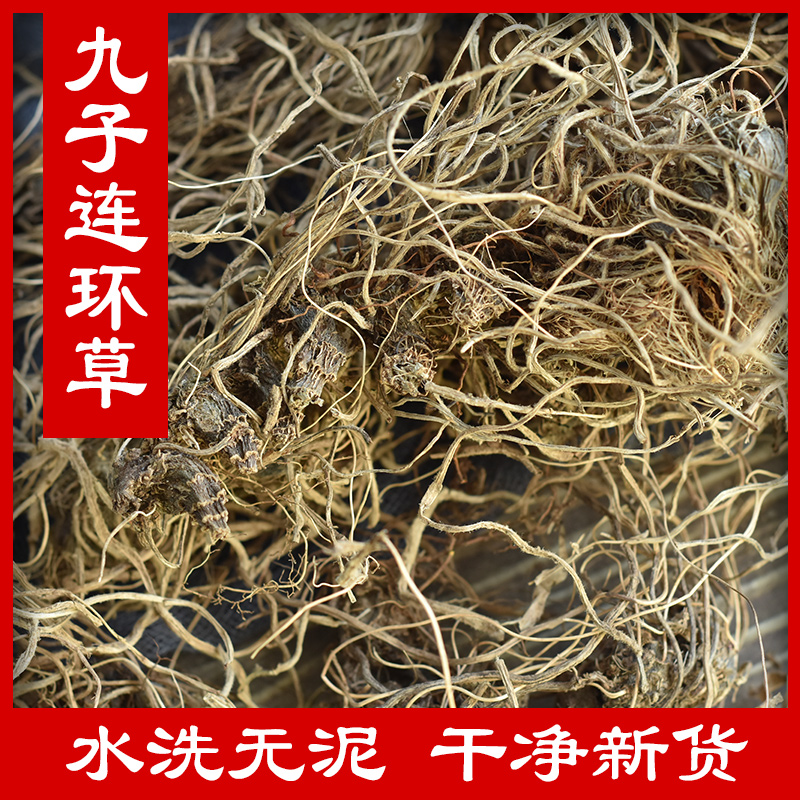 九子连环草500g野生中药材珠串珠夜白鸡硬九头狮子草肉连环九节虫