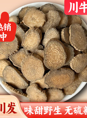 川牛膝四川中药材甜牛膝