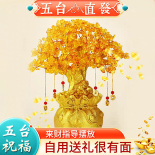 黄水晶摇钱树摆件招财酒柜装饰家居客厅玄关小发财树乔迁开业礼品
