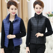 Mùa xuân và mùa thu mới phụ nữ vest cổ áo cardigan cổ áo không tay dày áo khoác mẹ tải phụ nữ trung niên lỏng lẻo - Áo vest