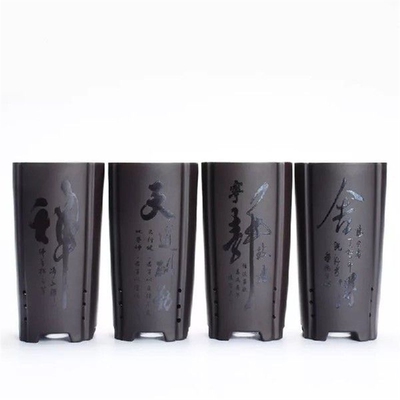 Orchid Flower Pots Green Plants Desktop Potted Orchid