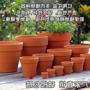 Red clay pot clay short POTS made of baked clay green plant