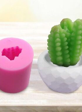 Creative Cactus Mold Meaty Plant Cactus Shaped Silicone
