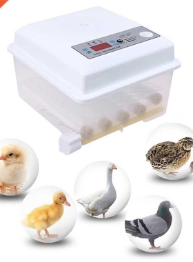 220V Eggs Incubator Brooder Automatic Farm Incubation Tools