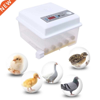220V Eggs Incubator Brooder Automatic Farm Incubation Tools