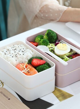 Office Worker Lunch Box Double-Layer Adult Students