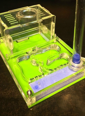 Desk-Decoration Insect-Box Ant-Nest Ants Farm-House Water-To