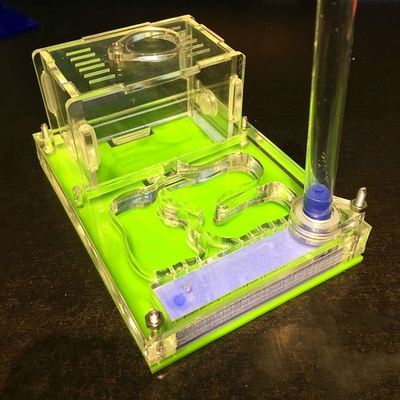 Desk-Decoration Insect-Box Ant-Nest Ants Farm-House Water-To