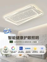 Лампа для гостиной, современный и минималистичный комбинированный потолочный светильник для спальни, 2024 года