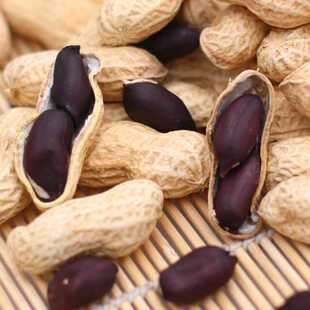 三袋包邮黑花生带壳脆甜四川乐山峨眉沐川特产健康休闲零食100克