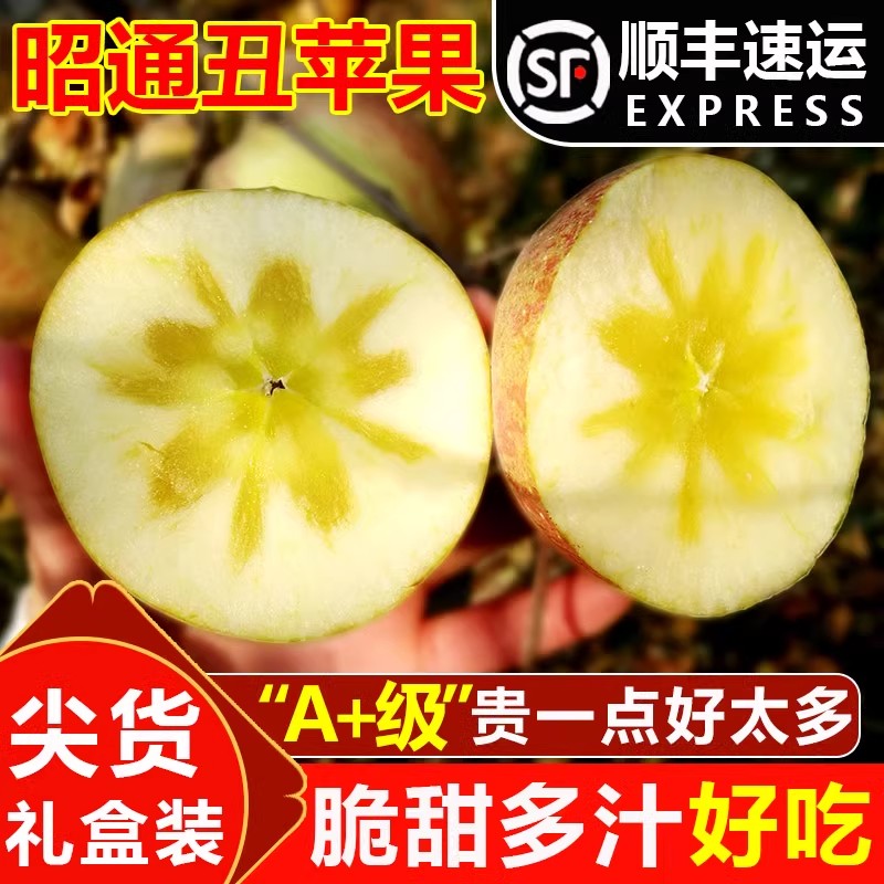 正宗云南昭通丑苹果新鲜水果冰糖心苹果脆甜大果整箱礼盒顺丰10斤