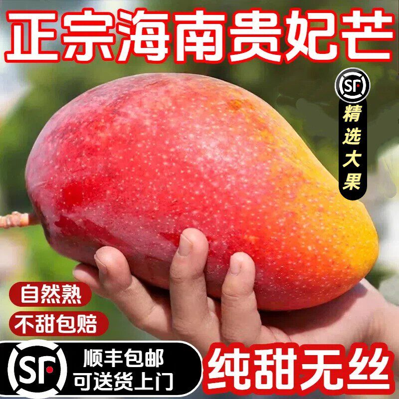 海南贵妃芒新鲜水果当季10树上熟红金龙辣椒甜心芒大果整箱包邮