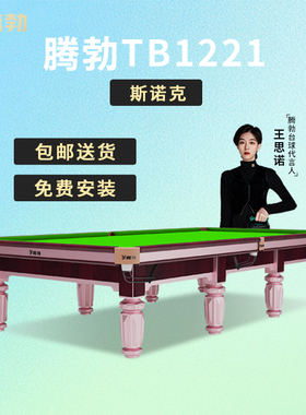 TB/腾勃斯诺克英式台球桌家用商用标准型桌球台球房球厅snooker