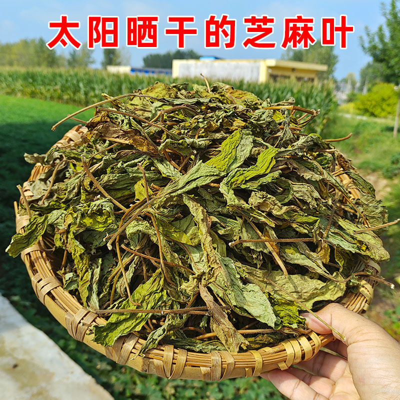太阳晒干的芝麻叶农家自产自销2025年新货黑芝麻叶子无添加洗头发
