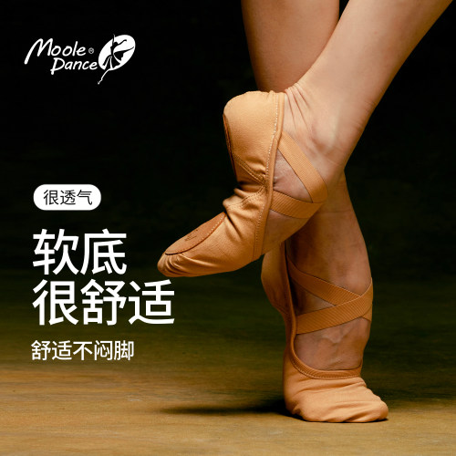 驼色舞蹈鞋女成人软底猫爪鞋形体