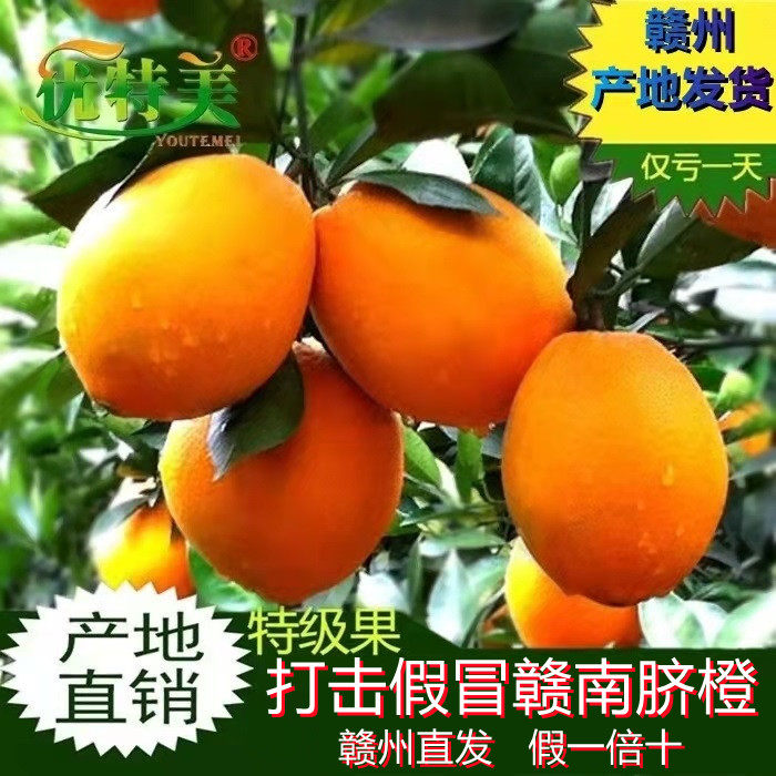 赣南脐橙常温赣州正宗脐橙好吃