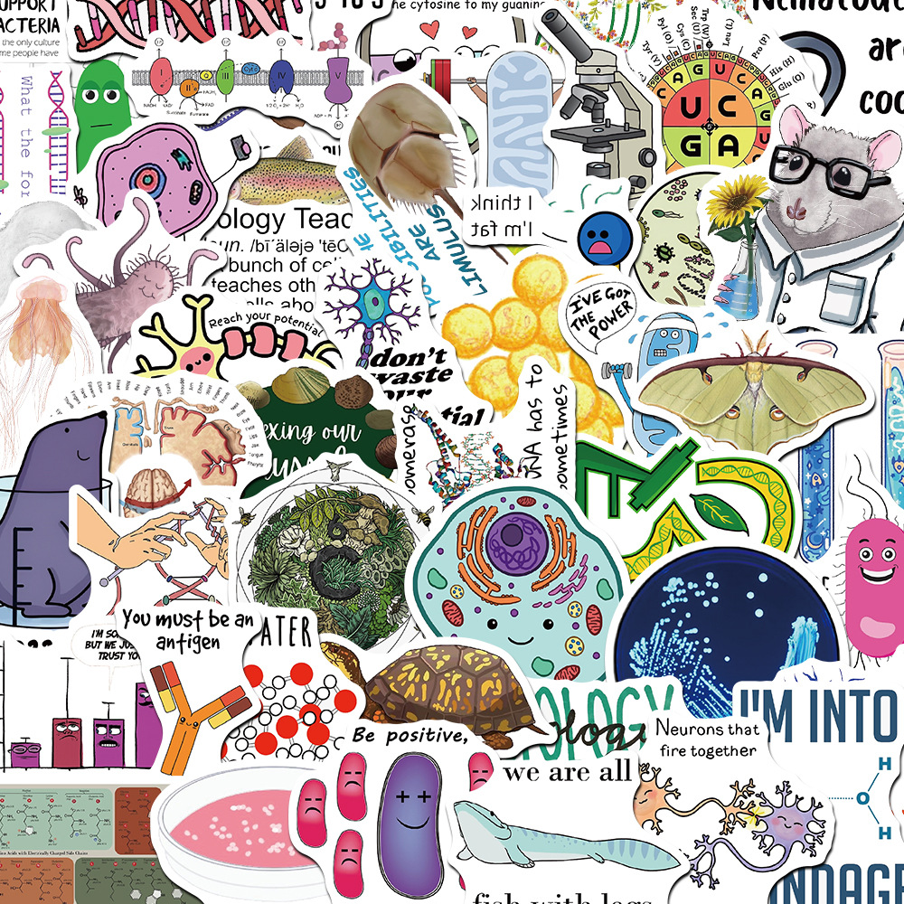 涂中鸦贴纸/立体贴纸50张卡通