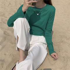 Real price ~ New Korean versatile solid round neck with undercoat and slim long sleeve T-shirt