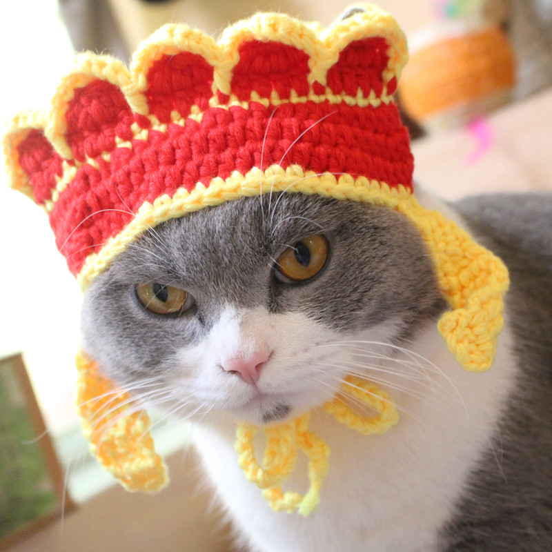 西游唐僧帽子猫咪搞怪帽宠物猫变装帽美短英短加菲猫头套拍摄道具