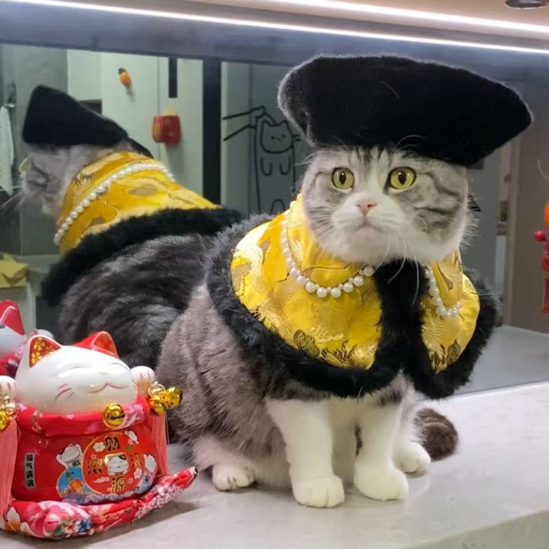 萌宠国潮古风小披风猫咪狗狗秋冬斗篷披肩汉服宠物新年围脖贵气风,宠物/宠物食品及用品,猫宠物服装/雨衣（新）,淘宝优惠券,粉丝福利购,淘宝优惠卷