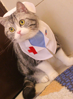 白色宠物医生服猫大夫猫咪变身装围嘴围脖帽子套装美短猫衣服可爱