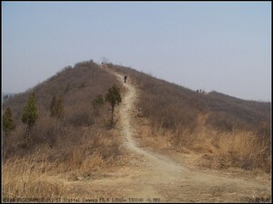 轱辘运费差价差价而已