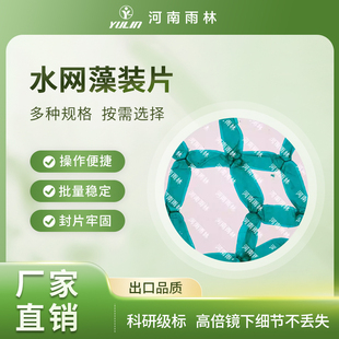 水网藻装片生物显微镜标本动物植物细胞载玻片观察实验高校