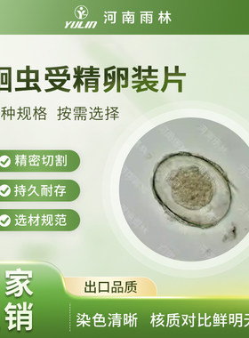 蛔虫受精卵装片生物标本切片动物植物细胞载玻片观察实验高校