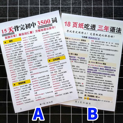 18页吃透初中三年英语语法大全3500个单词汇总复习A4塑封学习卡片