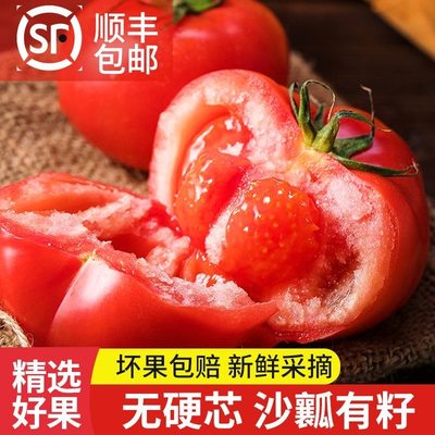 顺丰包邮苏北农家西红柿自然数现摘发货