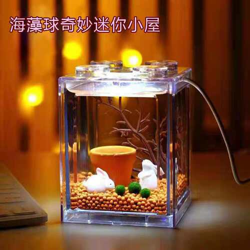 奇妙迷你小屋微景观植物
