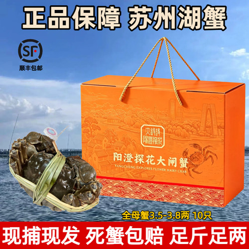活蟹苏州阳澄探花精品特大大闸蟹