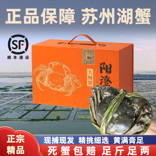 活蟹苏州阳澄探花精品特大大闸蟹