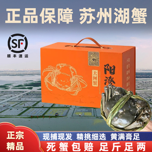 活蟹苏州阳澄精品大闸蟹鲜活特大螃蟹公蟹3.5-4.0母蟹现货礼盒装