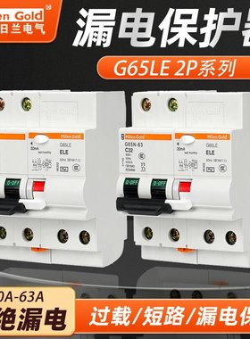 正品梅兰型30mAvigi漏电保护器G65LE2P10A16A20A25A32A4063A过载