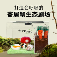 寄居蟹防摔加高款饲养缸～亚克力全透明新手饲养箱套餐儿童礼物