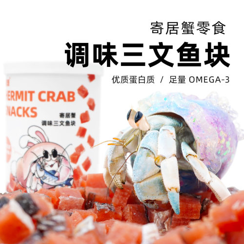 寄居蟹专用食物调味三文鱼～