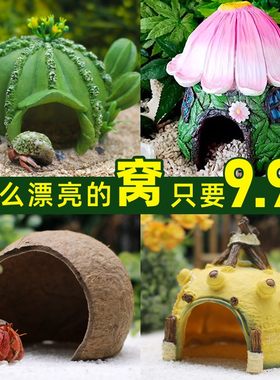 寄居蟹躲避屋窝～超多款式