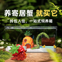 寄居蟹高透一体饲养箱～寄居蟹活体新手饲养套餐套装亚克力礼物