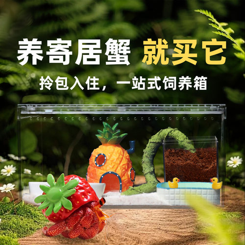 寄居蟹高透一体饲养箱～寄居蟹活体新手饲养套餐套装亚克力礼物