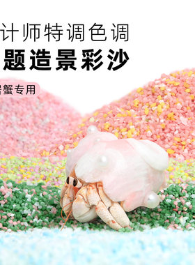 寄居蟹造景主题彩沙专拍造景装饰